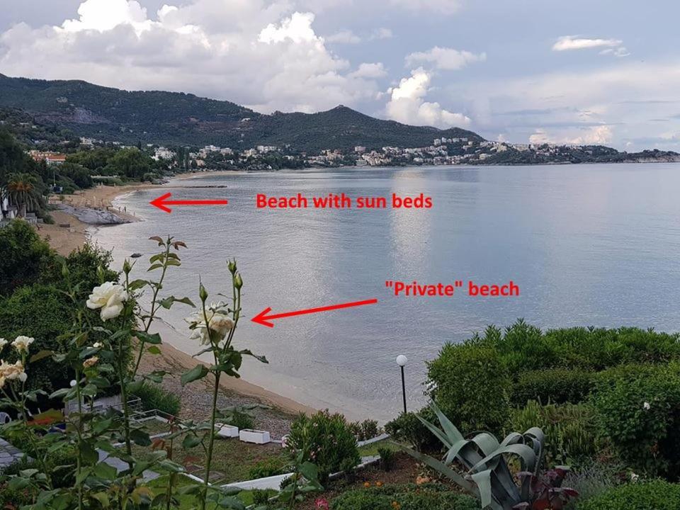 Evaliana Seaside Apartment PalaiónTsiflíkion Eksteriør billede