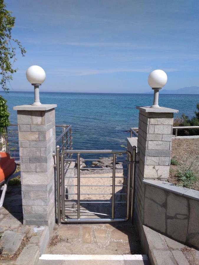 Evaliana Seaside Apartment PalaiónTsiflíkion Eksteriør billede
